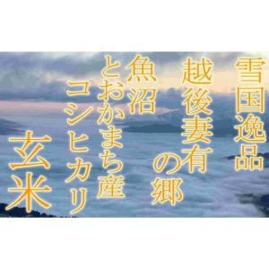 ふるさと納税 【令和8年産 先行予約】●定期便...の詳細画像4