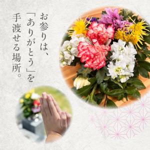 ふるさと納税 【定期便 年12回】産地直送 《...の詳細画像1