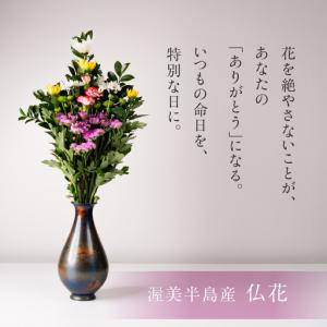 ふるさと納税 【定期便 年12回】産地直送 《...の詳細画像4