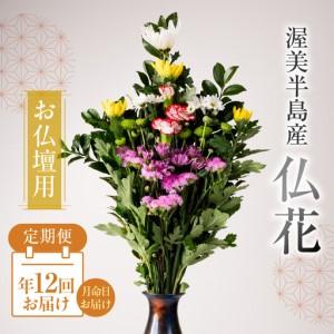 ふるさと納税 【定期便　年12回】産地直送 《お仏壇用》 仏花 日時指定可 生産額 日本一 田原市 渥美半島 月命日 お彼岸 お盆 年末 鮮度 生花 お.. 愛知県田原市