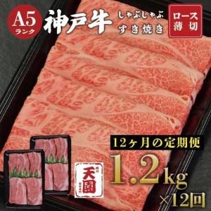 ふるさと納税 【ふるさと納税 定期便（頒布会）】神戸牛 霜降り 肩ロース しゃぶしゃぶすき焼き1200g×12ヶ月 兵庫県宝塚市
