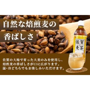 ふるさと納税 佐賀の麦茶 500ml×24本 ...の詳細画像3