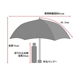ふるさと納税 【HiraTen】播州織レディー...の詳細画像3
