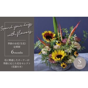 ふるさと納税 【毎月お届け】季節のお花（生花・花器付き）の定期便・Sサイズ　6か月 〈 フラワーアレンジメント 花 定期便 記念日 誕生日 お祝い .. 千葉県柏市