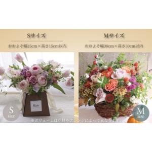 ふるさと納税 花 季節のお花 定期便 6か月 ...の詳細画像1