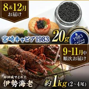 ふるさと納税 <全6回>宮崎グルメ 定期便 (...の詳細画像4