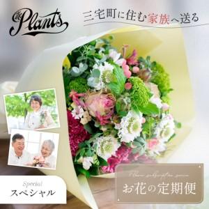 ふるさと納税 花 ふるさと定期便 3回 お届け 三宅町に住む家族へ 花束 ギフト The Plants:スペシャル 奈良県三宅町