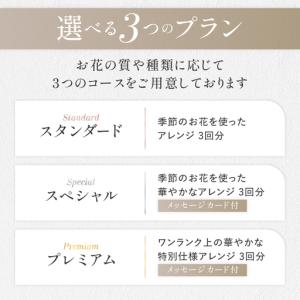 ふるさと納税 花 ふるさと定期便 3回 お届け...の詳細画像2