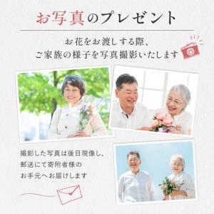 ふるさと納税 花 ふるさと定期便 3回 お届け...の詳細画像3