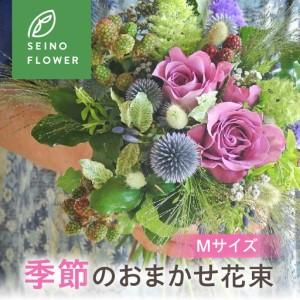 ふるさと納税 季節のお花 Mサイズ 西濃フラワー 3回定期便 岐阜県大垣市