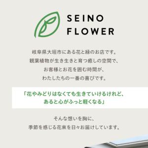 ふるさと納税 季節のお花 Mサイズ 西濃フラワ...の詳細画像2