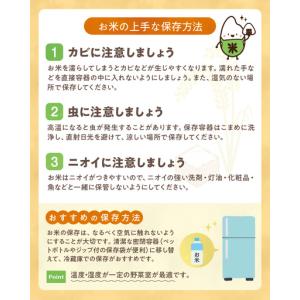 ふるさと納税 S050-012-T03_【定期...の詳細画像4