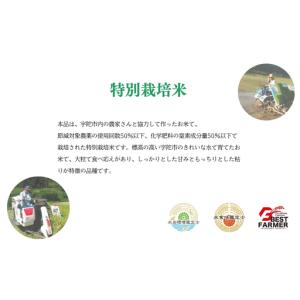 ふるさと納税 令和7年宇陀市産 大和高原米 に...の詳細画像3