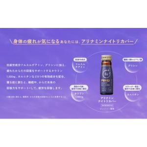 ふるさと納税 【定期便】アリナミン ナイトリカ...の詳細画像1