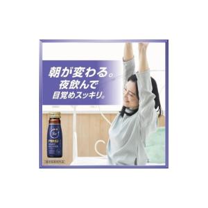 ふるさと納税 【定期便】アリナミン ナイトリカ...の詳細画像2