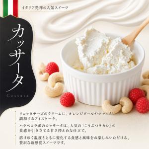 ふるさと納税 【定期便全12回】アイスケーキ【...の詳細画像4