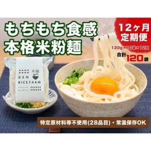 ふるさと納税 【定期便】【12ヶ月連続お届け】グルテンフリー 無添加 米麺 120g 10個セット（白米麺10個）｜米粉 うどん 焼きそば パスタ 麺 栃木県大田原市
