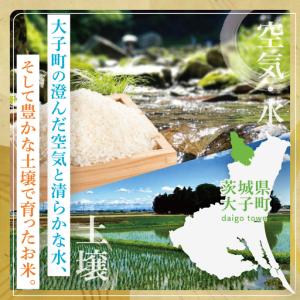ふるさと納税 【金賞農家が栽培した家庭用米】立...の詳細画像4