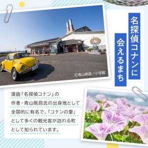 ふるさと納税 鳥取限定 コナングッズ詰合せB ...の詳細画像3
