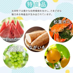 ふるさと納税 鳥取限定 コナングッズ詰合せC ...の詳細画像4