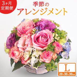 ふるさと納税 【 3ヶ月 定期便 】季節 の フラワーアレンジメント ＜ L ＞ 花 お花 誕生日 自宅用 インテリア おしゃれ (BY003) 茨城県城里町