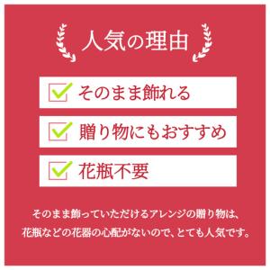 ふるさと納税 【 3ヶ月 定期便 】季節 の ...の詳細画像1