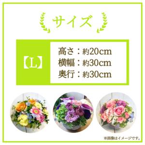 ふるさと納税 【 3ヶ月 定期便 】季節 の ...の詳細画像2