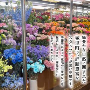ふるさと納税 【 3ヶ月 定期便 】季節 の ...の詳細画像3