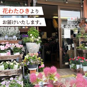 ふるさと納税 【 3ヶ月 定期便 】季節 の ...の詳細画像4