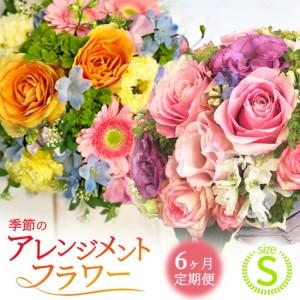 ふるさと納税 【 6ヶ月 定期便 】季節 の フラワーアレンジメント ＜ S ＞ 花 お花 季節の花 生花 記念日 誕生日 自宅用 インテリア 部屋飾り 装.. 茨城県城里町
