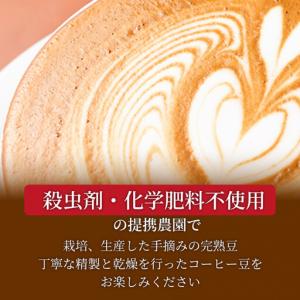 ふるさと納税 【定期便全6回】 猫と海コーヒー...の詳細画像2
