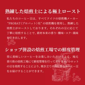 ふるさと納税 【定期便全6回】 猫と海コーヒー...の詳細画像3
