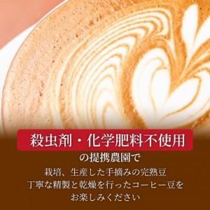 ふるさと納税 【定期便全12回】 バリ島中煎り...の詳細画像2