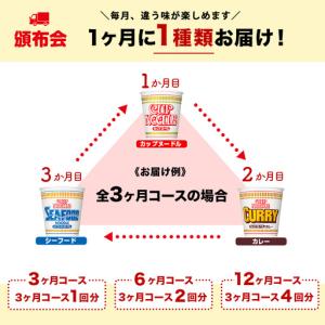 ふるさと納税 【頒布会12か月】日清 カップヌ...の詳細画像2