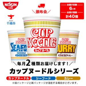 ふるさと納税 【頒布会6か月】日清　カップヌードルシリーズ2種40個（各20食） 北海道千歳市