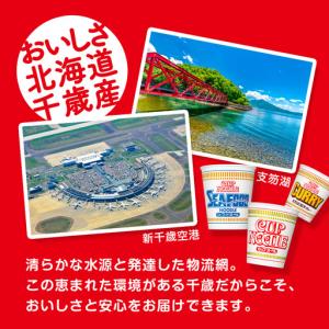 ふるさと納税 【頒布会6か月】日清 カップヌー...の詳細画像3