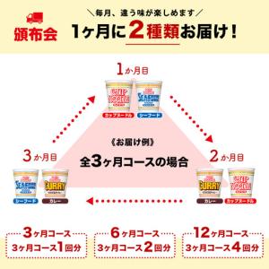 ふるさと納税 【頒布会12か月】日清 カップヌ...の詳細画像2