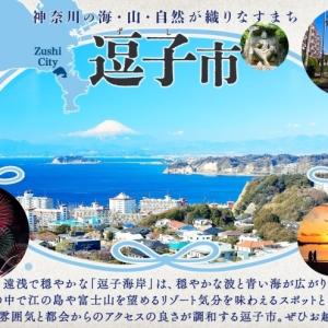 ふるさと納税 フィンガーライム 栽培体験セット...の詳細画像4
