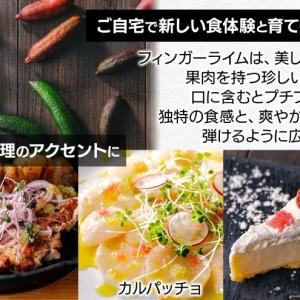 ふるさと納税 フィンガーライム 栽培体験セット...の詳細画像2