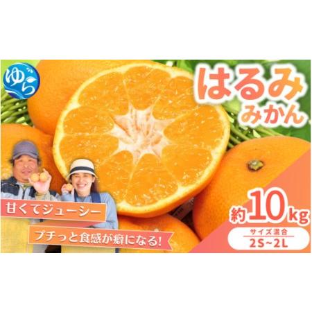 ふるさと納税 はるみ みかん 10kg S〜4Lサイズ混合 / くだもの 甘い 柑橘 果物 和歌山 ...
