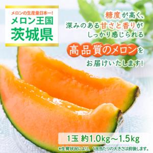 ふるさと納税 【定期便】 赤肉アールスメロン ...の詳細画像1