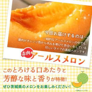 ふるさと納税 【定期便】 赤肉アールスメロン ...の詳細画像3