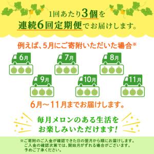 ふるさと納税 【定期便】 赤肉アールスメロン ...の詳細画像4