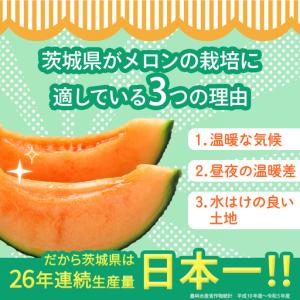 ふるさと納税 【定期便】 赤肉アールスメロン ...の詳細画像2