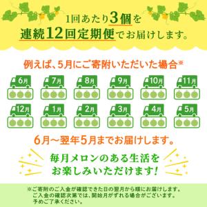 ふるさと納税 【定期便】 赤肉アールスメロン ...の詳細画像4