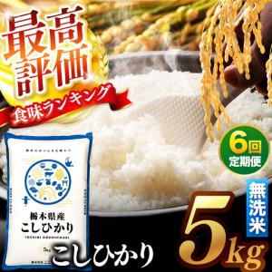 ふるさと納税 【先行予約】【定期便6回】 ＼無洗...の商品画像