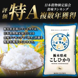 ふるさと納税 【先行予約】【定期便6回】 ＼無...の詳細画像1