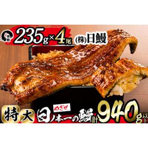 ふるさと納税 日ノ本一の鰻の蒲焼き＜特大＞4尾セット(計940g以上) d0-027 鹿児島県志布志市