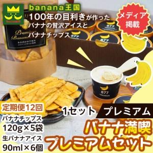 ふるさと納税 【定期便12ヶ月】【満喫プレミアムセット】プレミアム生バナナアイスクリーム（90ml×6個）・プレミアムバナナチップス （12.. 愛知県名古屋市