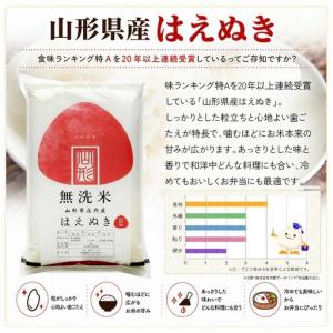 ふるさと納税 【隔月定期便】無洗米はえぬき5k...の詳細画像2